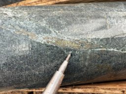 diorite with quartz-pyrite-chalcopyrite veining at 51.7m in hole az25-004